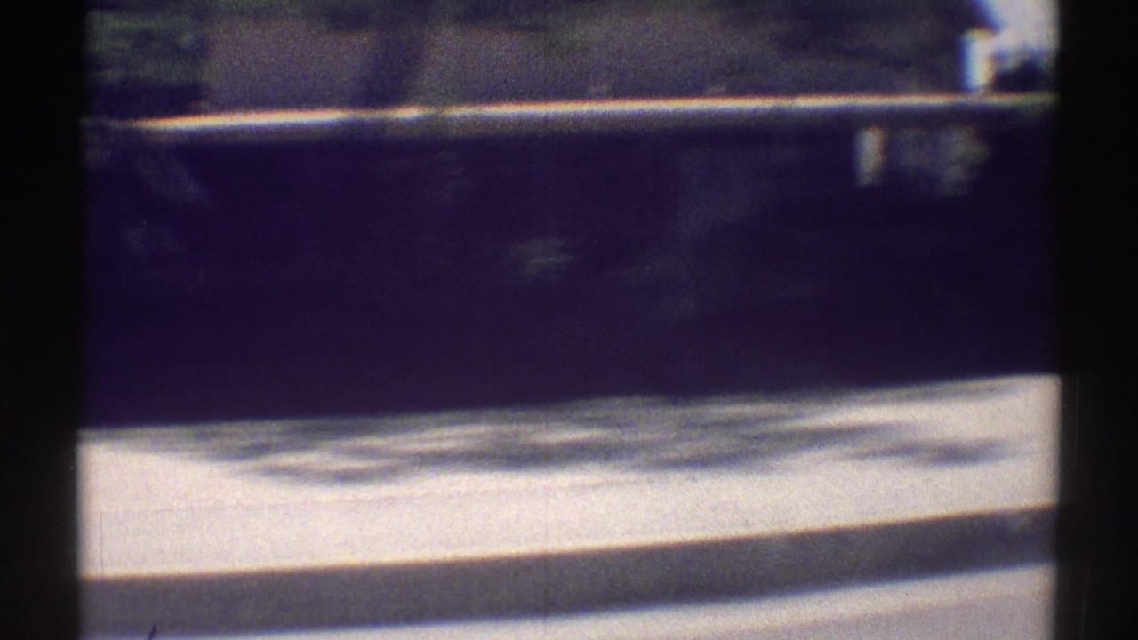 Blurred windshield view of a sunlit curb, wall, and shaded trees from a moving car.