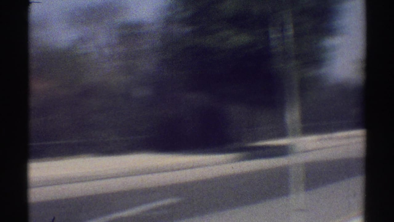 Blurred roadside view from a moving car with pavement, trees, and dark window-frame shadows.