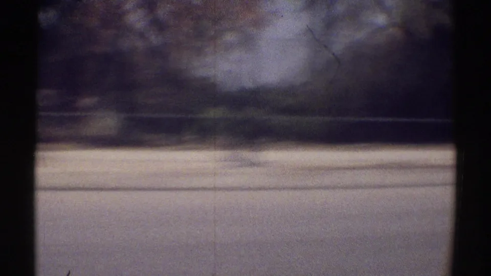 Moving-car view in Woodland Hills, California, with road surface, tree line, and dark interior framing visible in soft 8mm blur.