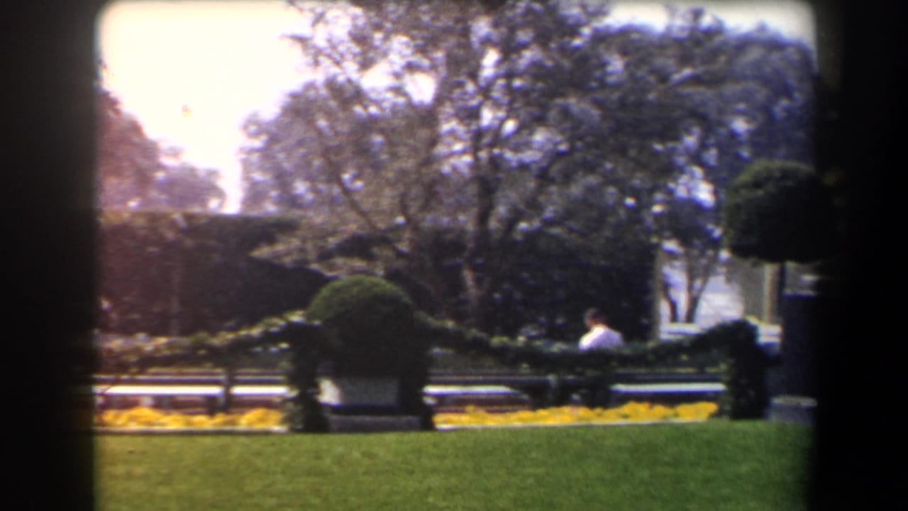 1958 California garden view with trimmed hedges, benches, yellow flowerbeds, mature trees, and a distant seated person in a light shirt.