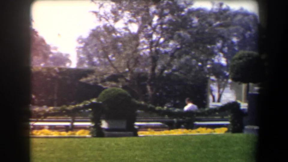 1958 California garden view with trimmed hedges, benches, yellow flowerbeds, mature trees, and a distant seated person in a light shirt.
