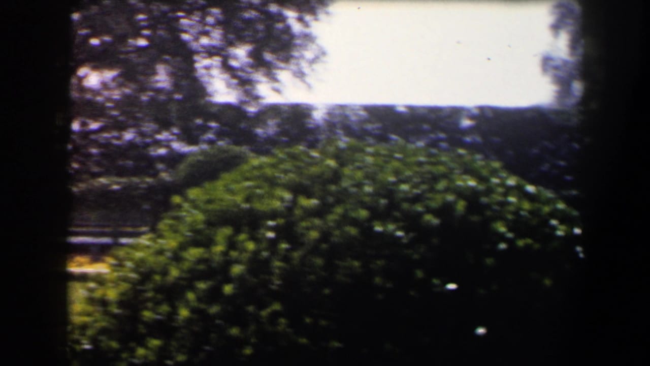 Blurred garden view with green shrubbery, trees, and bright sky framed by dark 8mm borders.