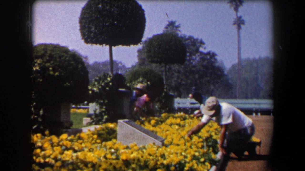 California 1958 garden frame with a man tending yellow flowers near formal topiary, benches, palm trees, and other adults in the background.