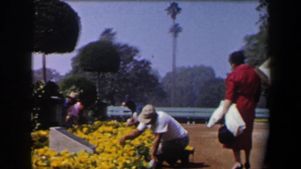 California 1958 frame showing a woman in a red dress near a man working in yellow flower beds, with shaped trees, benches, and palms beyond.