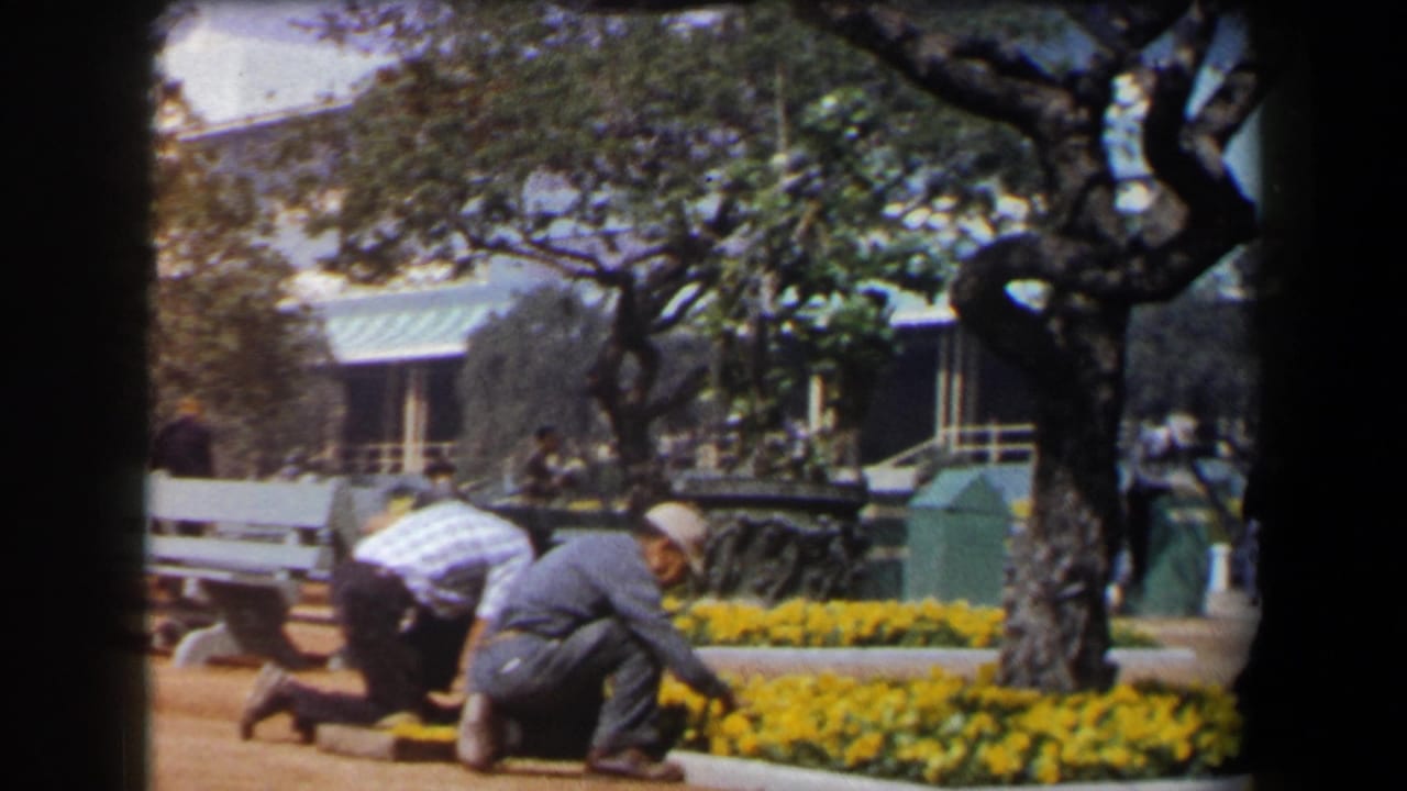 In supported 1958 California footage, workers tend yellow flower beds near benches, trees, and a shaded public walkway.