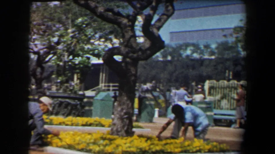 A park worker tends a yellow flower bed as people pass near benches, trees, and fencing in 1958 California home-movie footage.