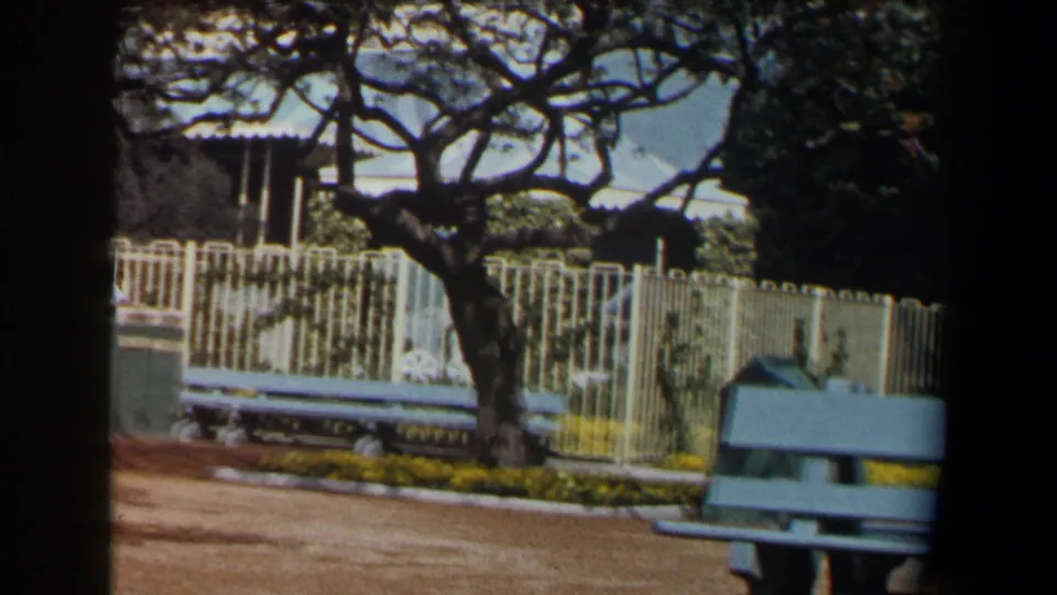 A quieter view of the 1958 California park shows green benches, a white fence, mature trees, and planted yellow flowers.
