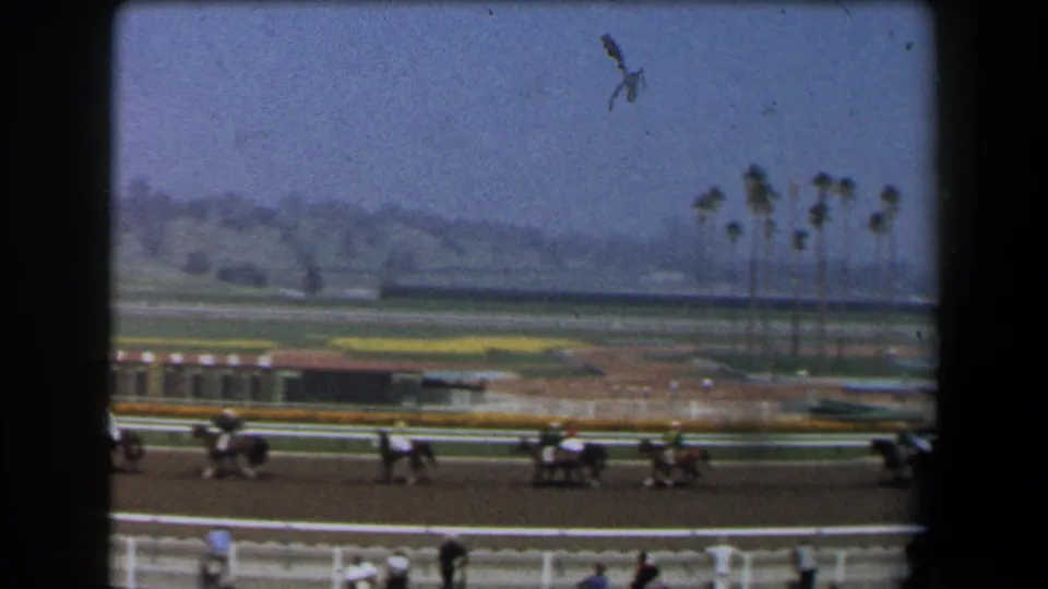 Wide California racetrack view with horses and jockeys running past rails, palm trees, hazy hills, and scattered spectators.