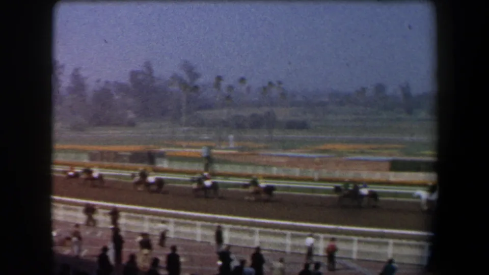 Wide 1958 California racetrack view showing horses, jockeys, spectators at the rail, palm trees, and a hazy landscape beyond.