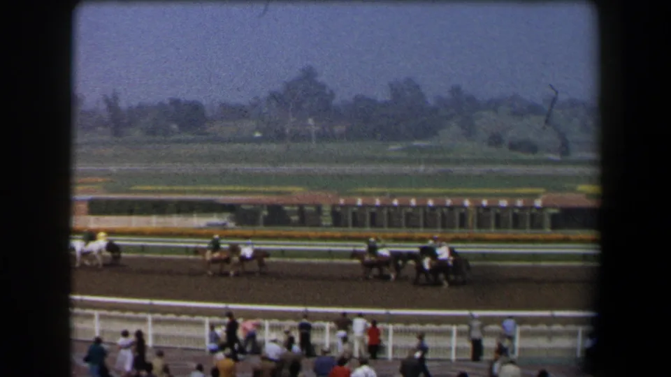 Jockeys in light and dark silks ride racehorses at a California track, with spectators visible near the rail.