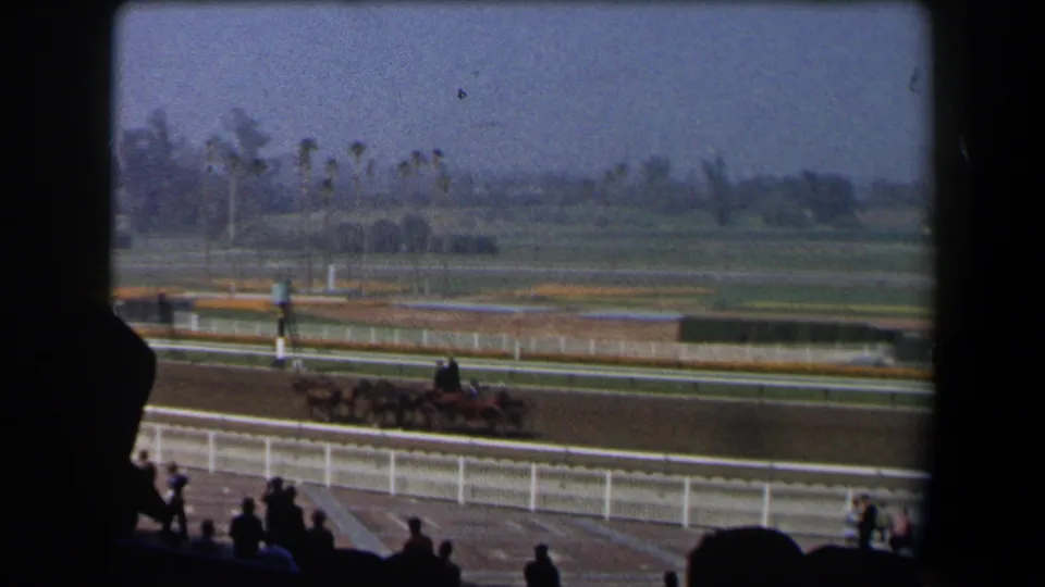 1958 California racetrack view with a horse pack moving along the dirt course and palm trees in the distance.