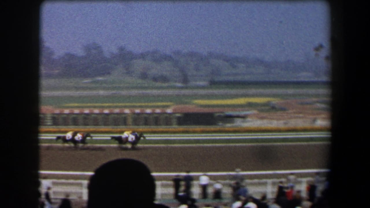 Two clusters of racehorses move along the track with railings and open grounds behind them.