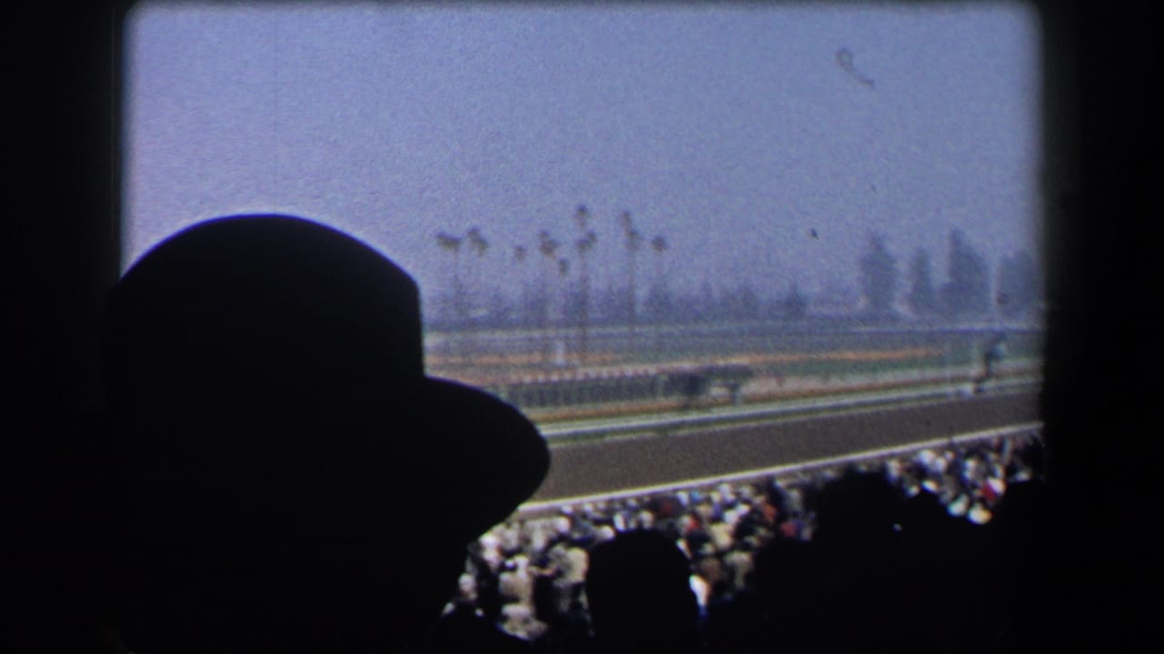 1958 California 8mm frame of horse racing viewed from the stands, with silhouetted spectators and palm trees beyond the track.