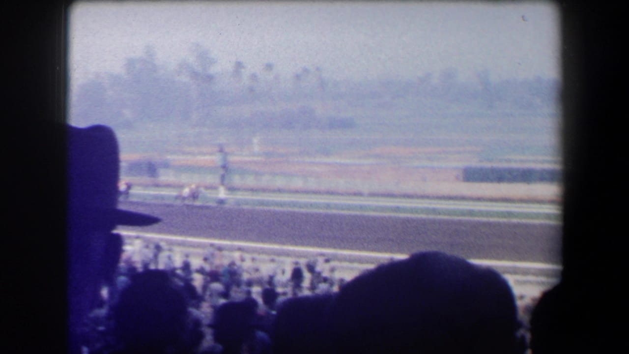 Horses race along a dirt track with silhouetted spectators in the foreground.