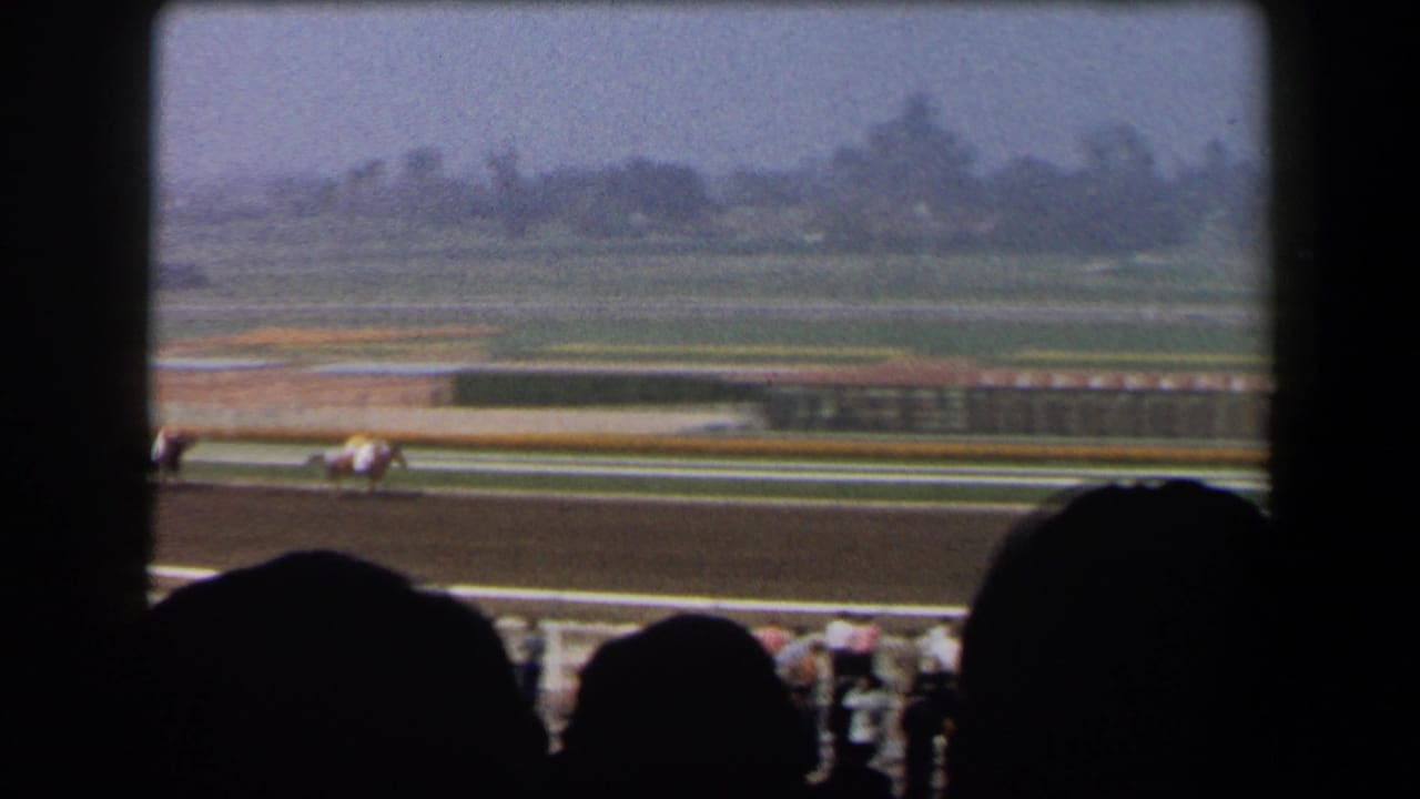Racehorses run on the track with a hazy infield and spectator silhouettes nearby.