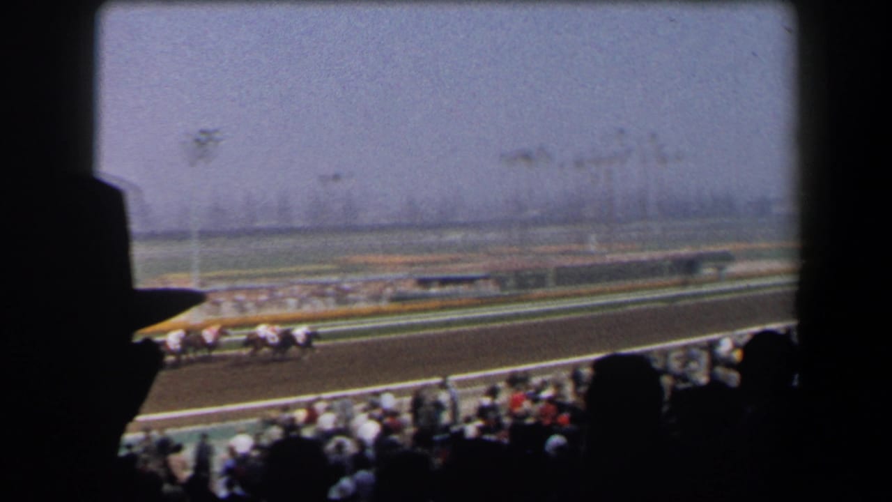 Horses race past a crowd seen from shaded grandstands.