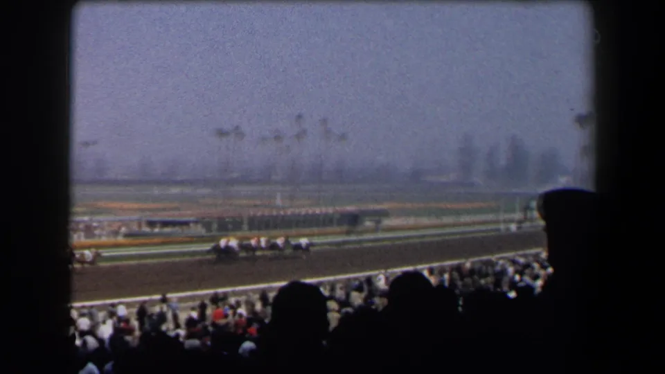 Wide 1958 California racetrack view with distant horses, palm trees, hazy skyline, and grandstand spectators below.