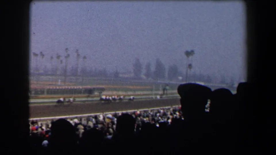 California horse race seen from the grandstands in 1958, with silhouetted viewers and palm-lined infield beyond the track.