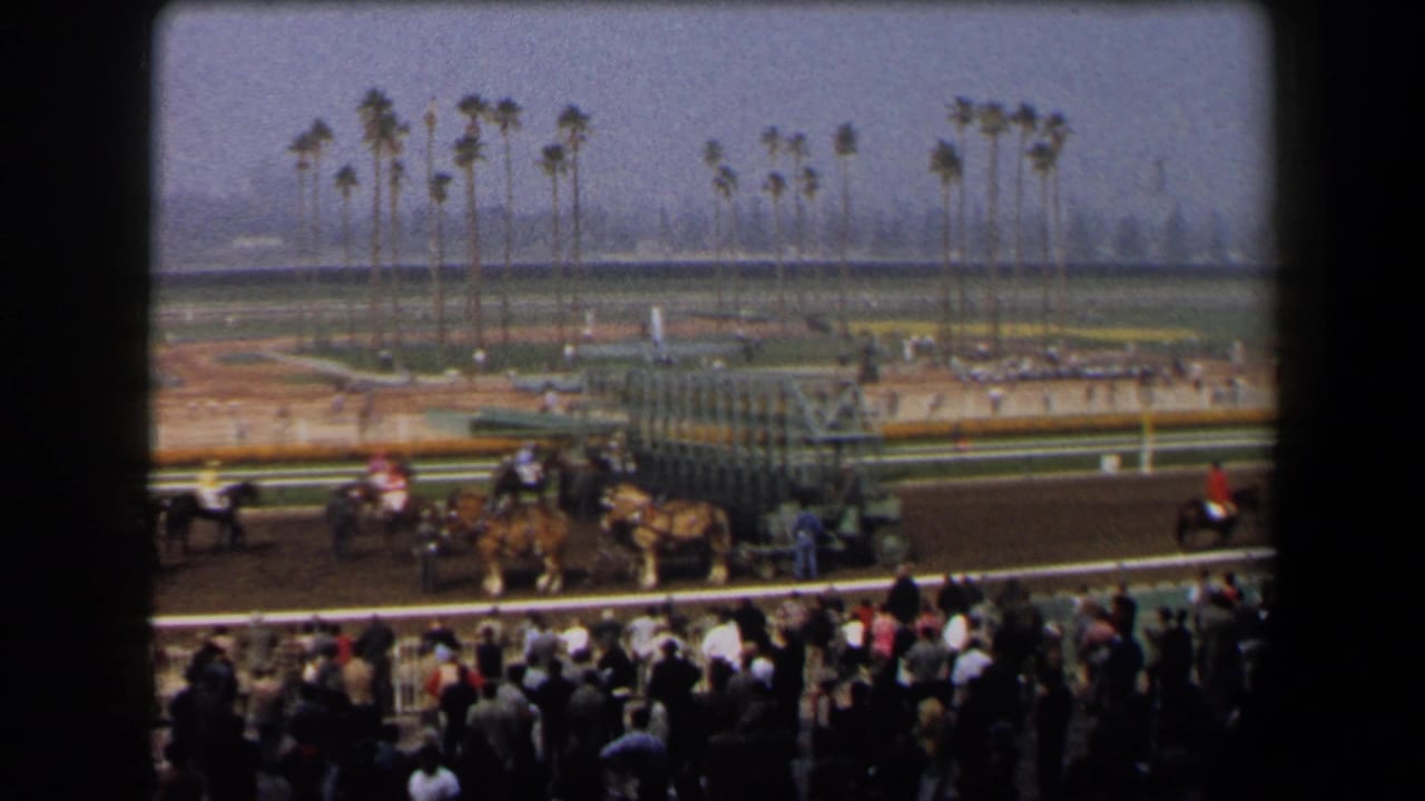 1958 California home-movie frame showing spectators in the stands as horses and jockeys wait near the racetrack starting gate.