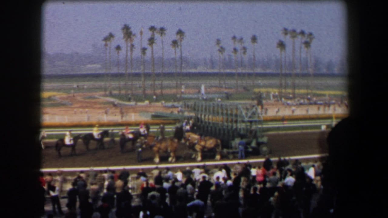 Spectator-shot 1958 California racetrack view with horses, jockeys, a starting gate, and a dense crowd below palm trees.