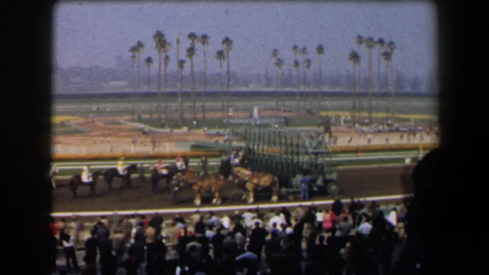 Spectator-shot 1958 California racetrack view with horses, jockeys, a starting gate, and a dense crowd below palm trees.