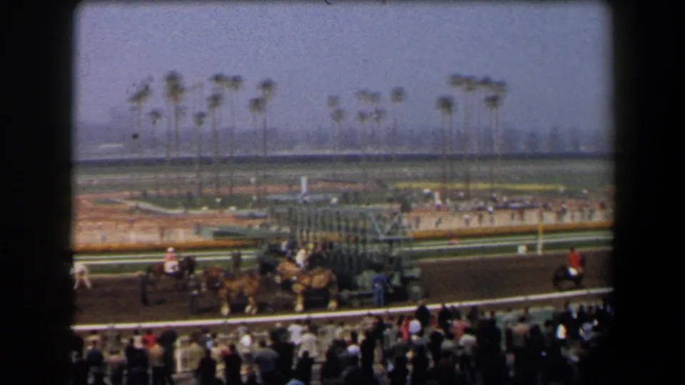 Spectator-shot 1958 California horse racing frame with horses near the gate, crowd at the rail, and palms behind the track.