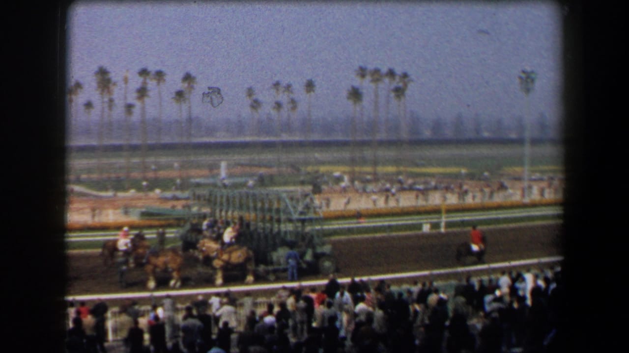 1958 California 8mm view from racetrack grandstands showing horses near a starting gate, crowd silhouettes, railings, and palm trees beyond the track.