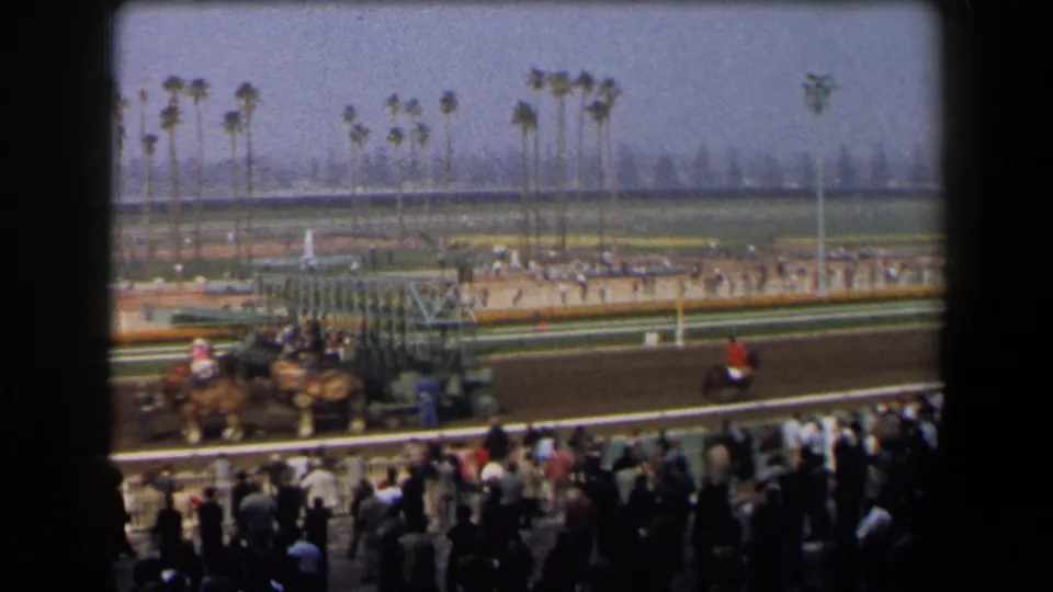 Grandstand perspective on a California horse racing track, with horses clustered near the starting gate and palm trees lining the distant background.