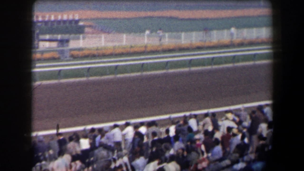 1958 California 8mm frame showing a racetrack rail and seated spectators before the horses pass.