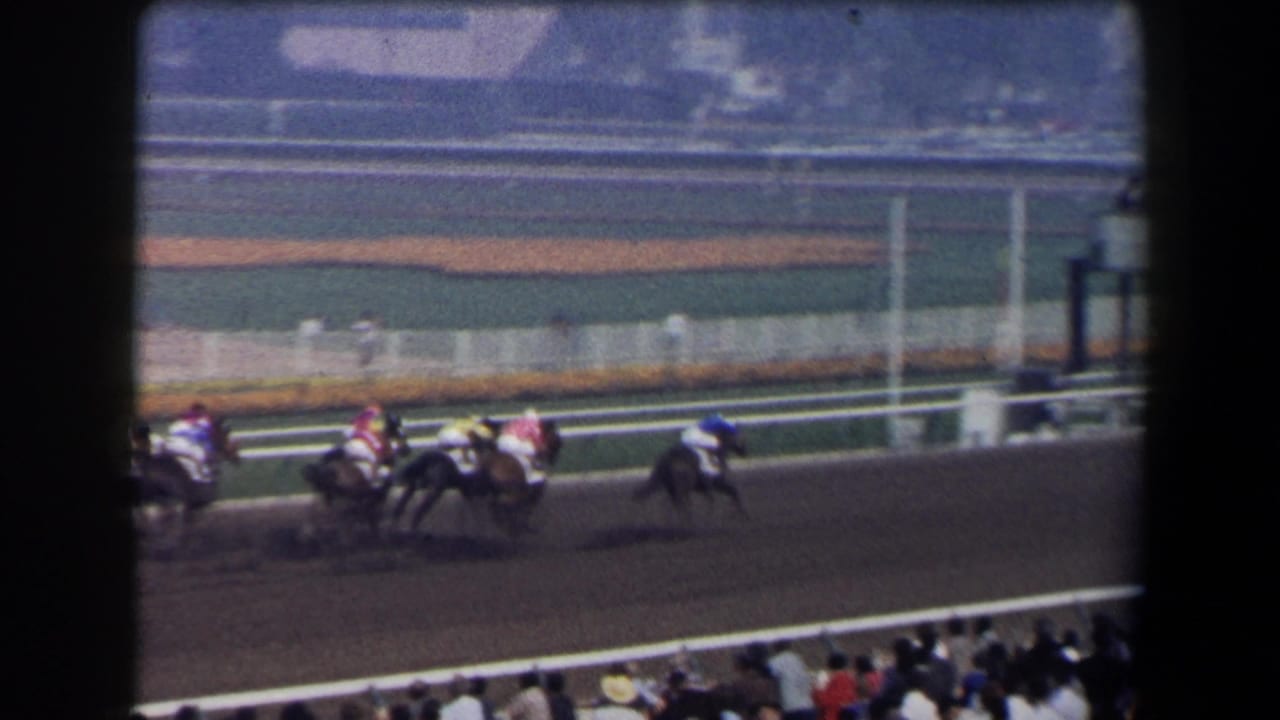 Jockeys ride racehorses along the dirt track near the stands.
