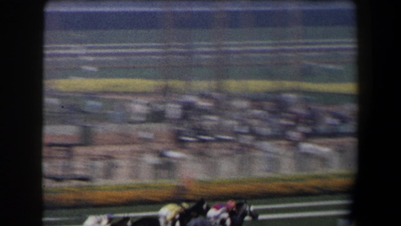 Blurred horses and jockeys race past a crowded grandstand.