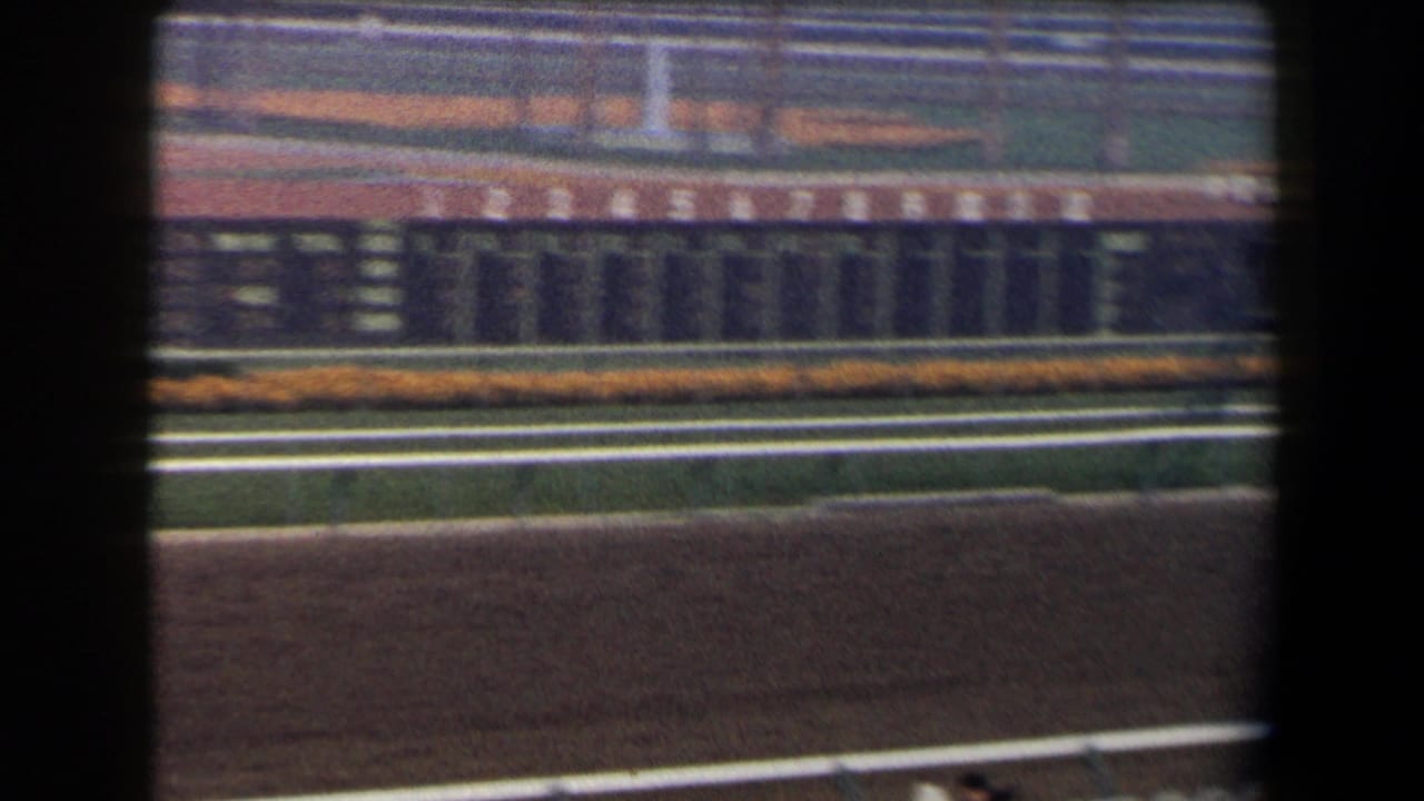 Horse racing track with railings, infield, and distant grandstand seen through dark foreground bars.