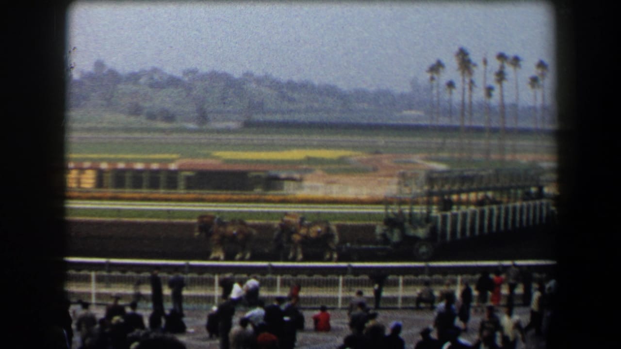 A horse-drawn racing carriage passes a crowd at a California racetrack, with palm trees and the infield visible beyond.