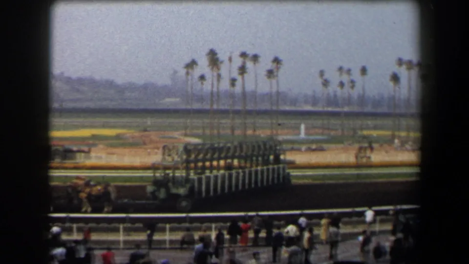 California racetrack scene showing a starting gate, horse-drawn carriage action, spectators, palm trees, and bright infield grounds.