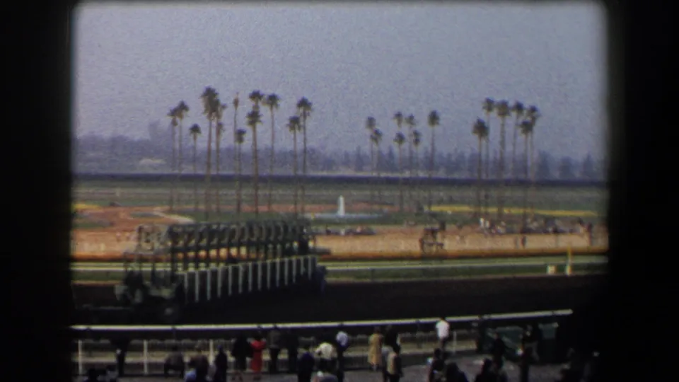 Wide 1958 California racetrack view with a starting gate, scattered spectators, palm-lined background, and hazy home-movie color.