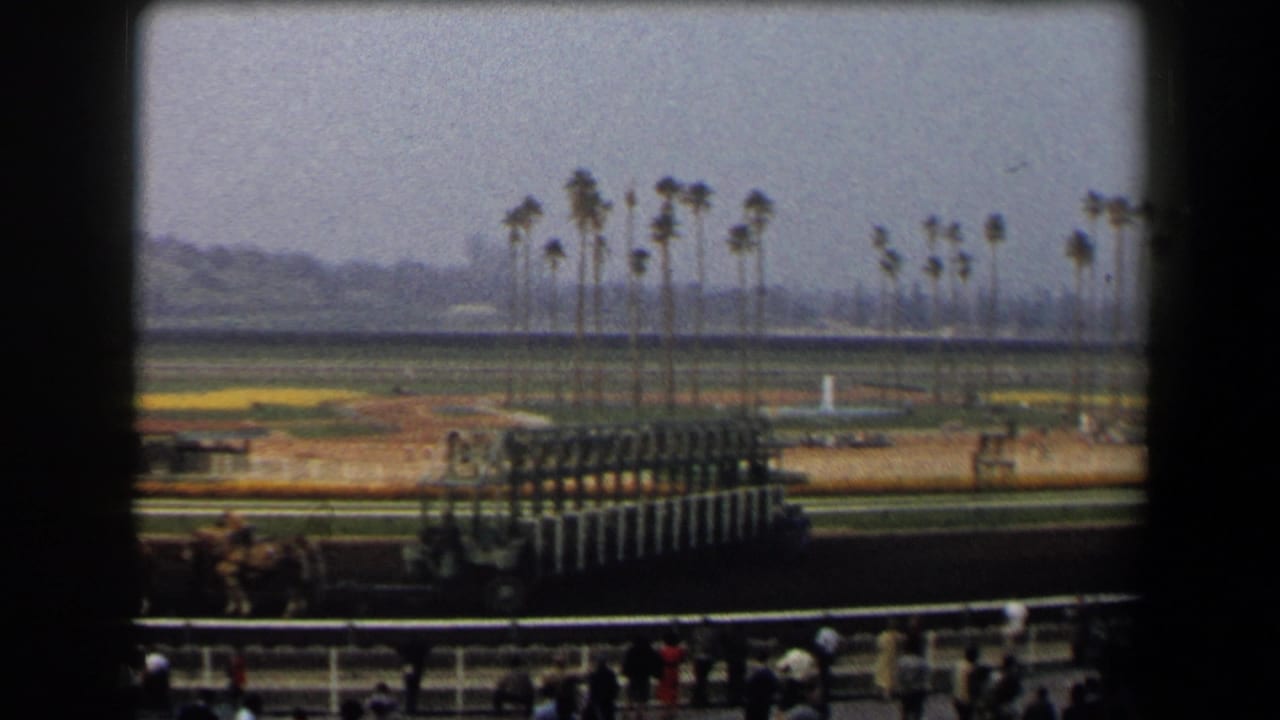 Starting gate and horses on a racetrack with palm trees and spectators below.