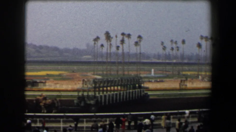 1958 California racetrack view with horses near the starting gate, track rails, palm trees, and spectators seen from the stands.
