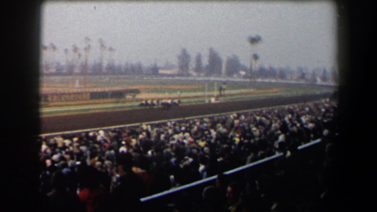 1958 California home-movie view from a packed grandstand as horses run along a racetrack in the distance.