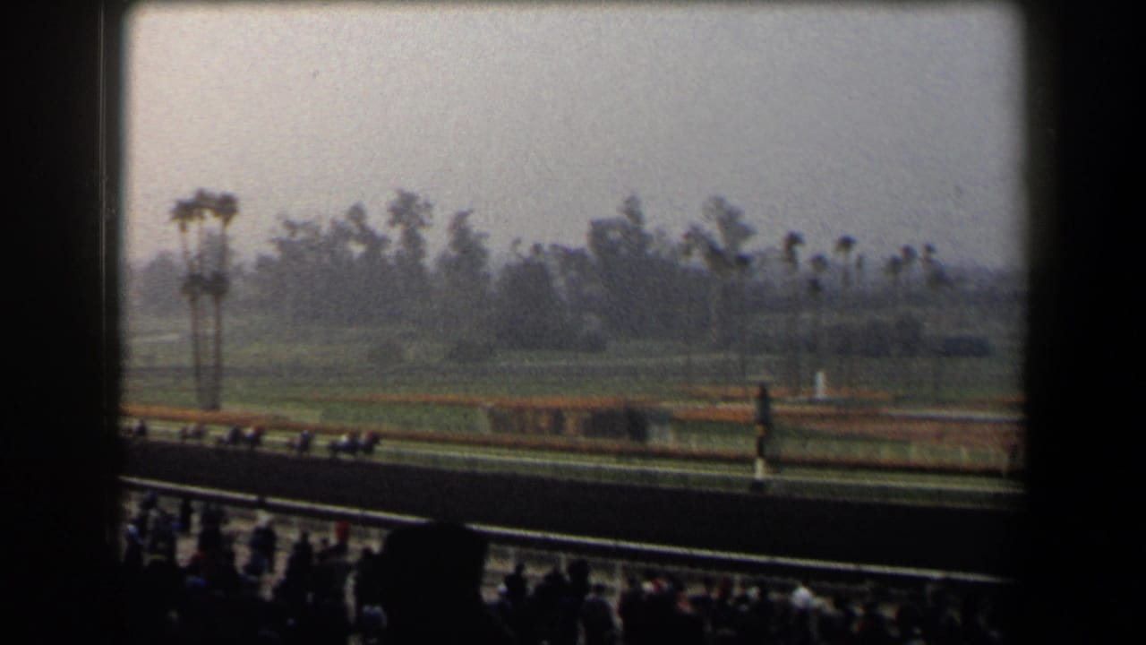 Horses race along a track with spectators in the foreground and palm trees in the distance.
