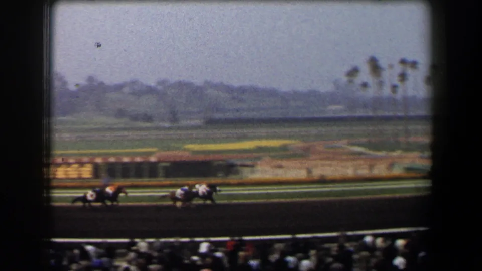 California horse race seen from the stands, with jockeys on the track and palm trees across the hazy background.