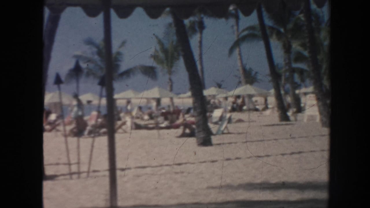 A Hawaii beach scene shows palm trees, rows of umbrellas or cabanas, and vacationers spread across the sand under bright daylight.