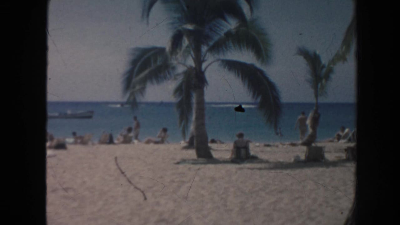 In the supplied Hawaii travel footage, people relax on the sand near tall palm trees while the blue ocean and a small boat are visible offshore.