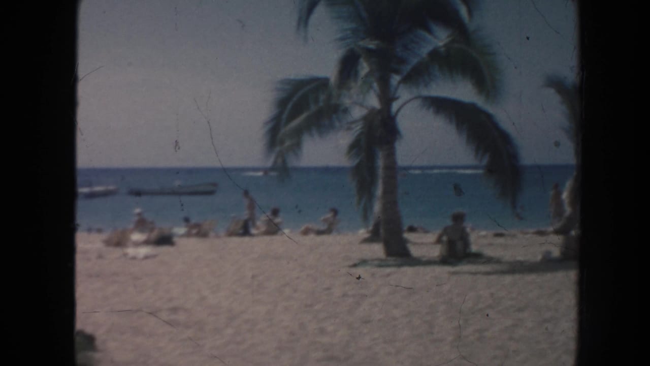 A quiet Hawaii beach view shows palm trees in the foreground, scattered people on the sand, calm ocean water, and small boats near the horizon.