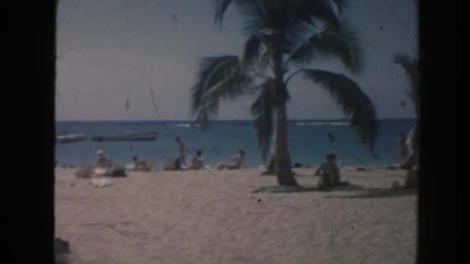 A quiet Hawaii beach view shows palm trees in the foreground, scattered people on the sand, calm ocean water, and small boats near the horizon.