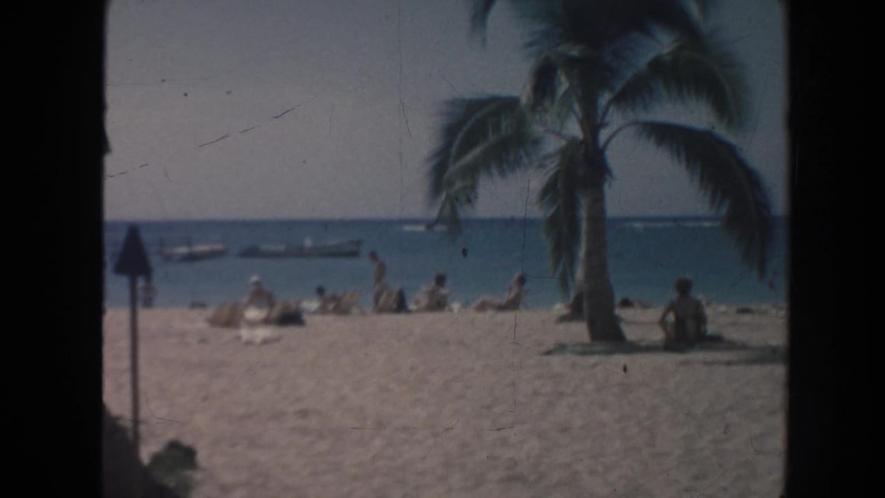 Beachgoers on sand beneath a palm tree with small boats offshore.