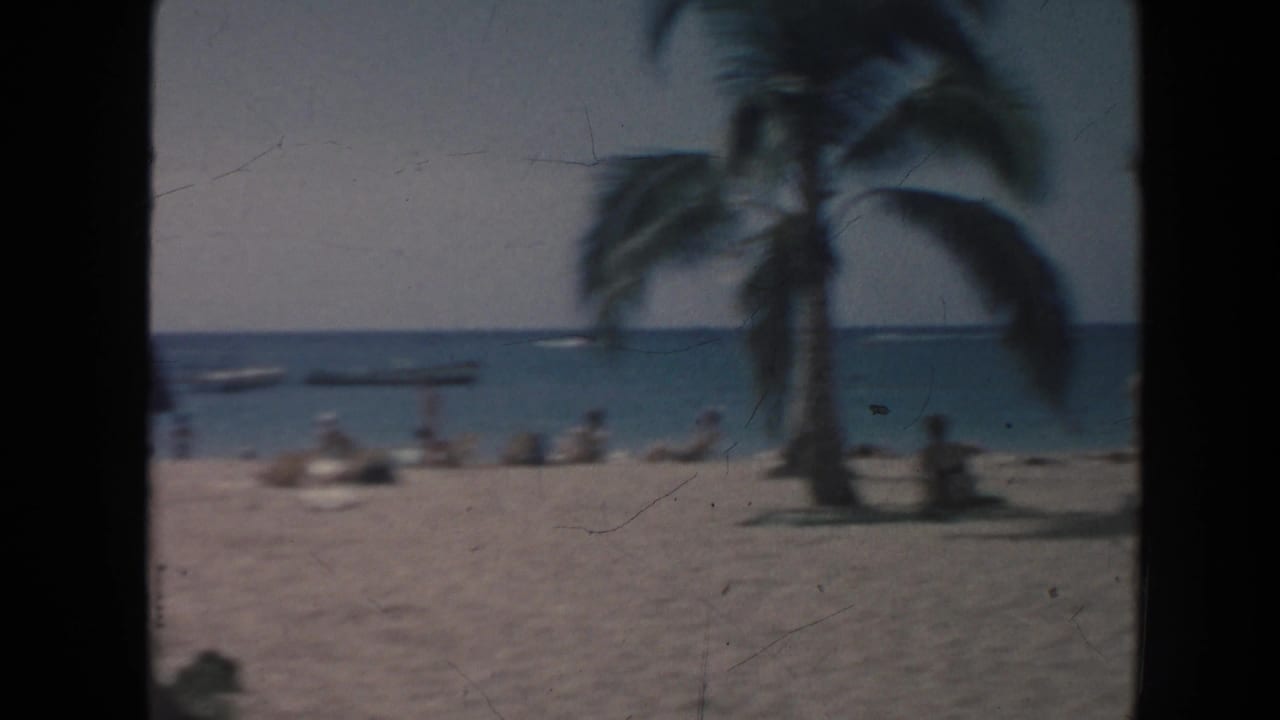 Soft 8mm frame of a Hawaii shoreline with a palm tree, beachgoers on the sand, and small boats beyond the surf.
