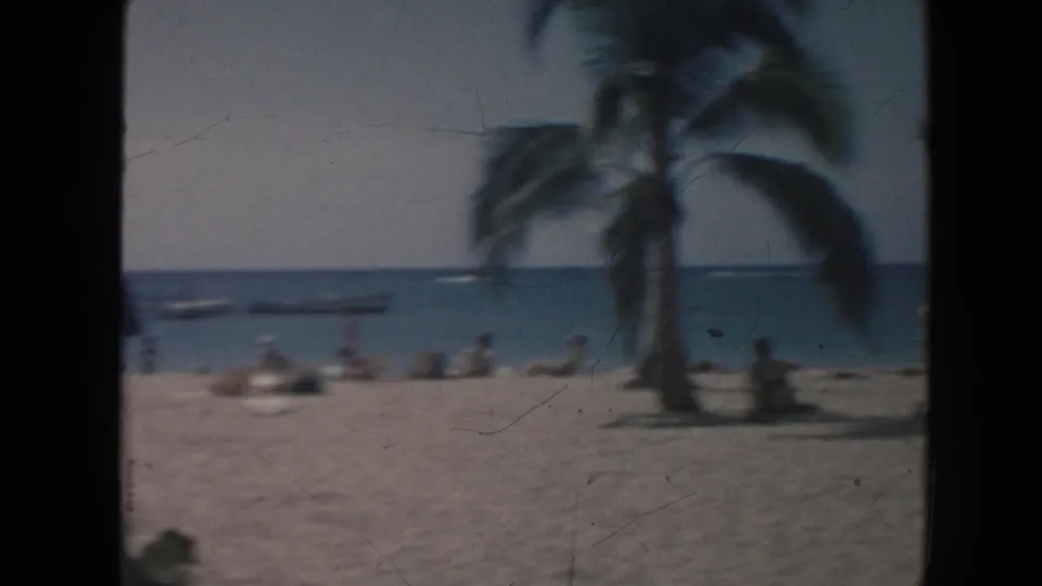 Soft 8mm frame of a Hawaii shoreline with a palm tree, beachgoers on the sand, and small boats beyond the surf.