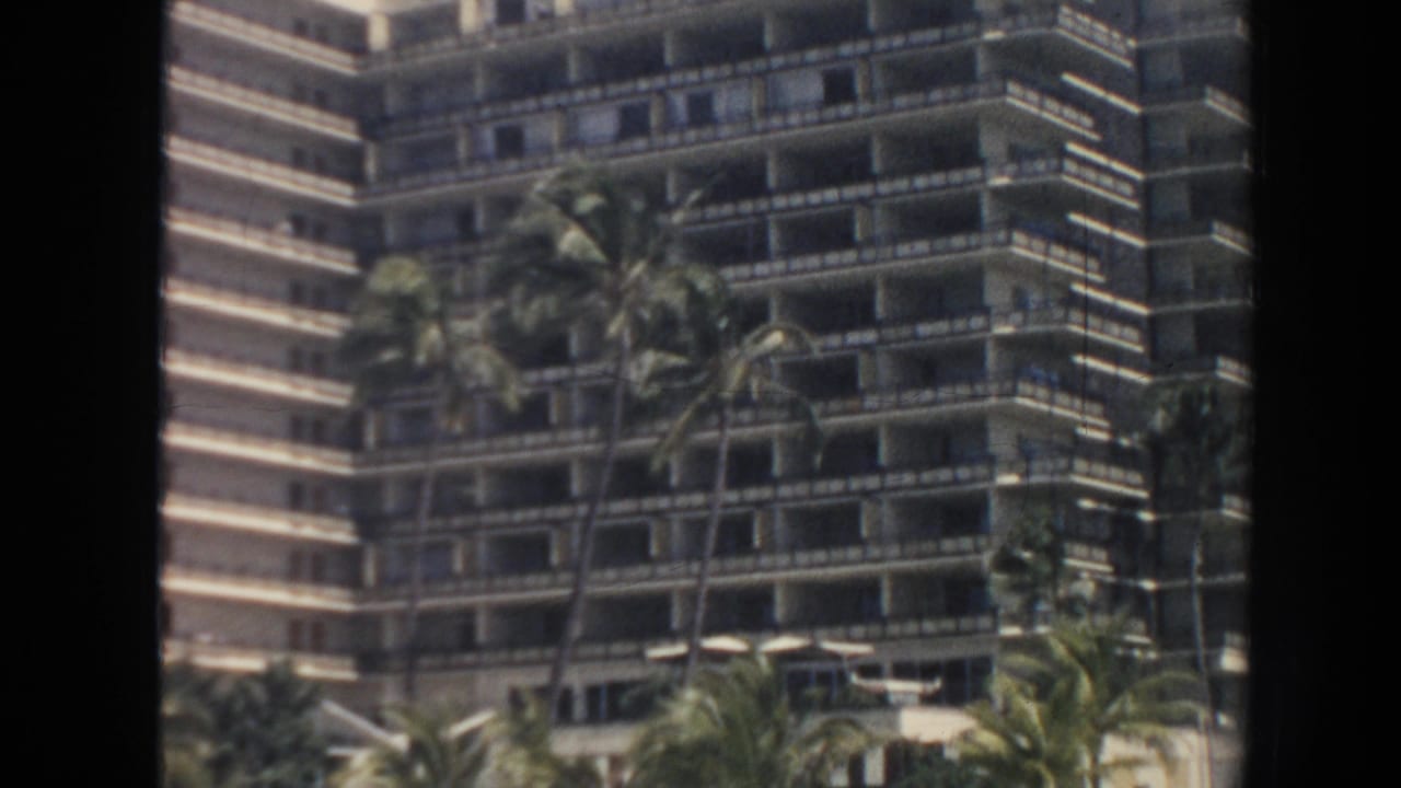 Balcony-lined hotel facade partly obscured by tall palm trees.
