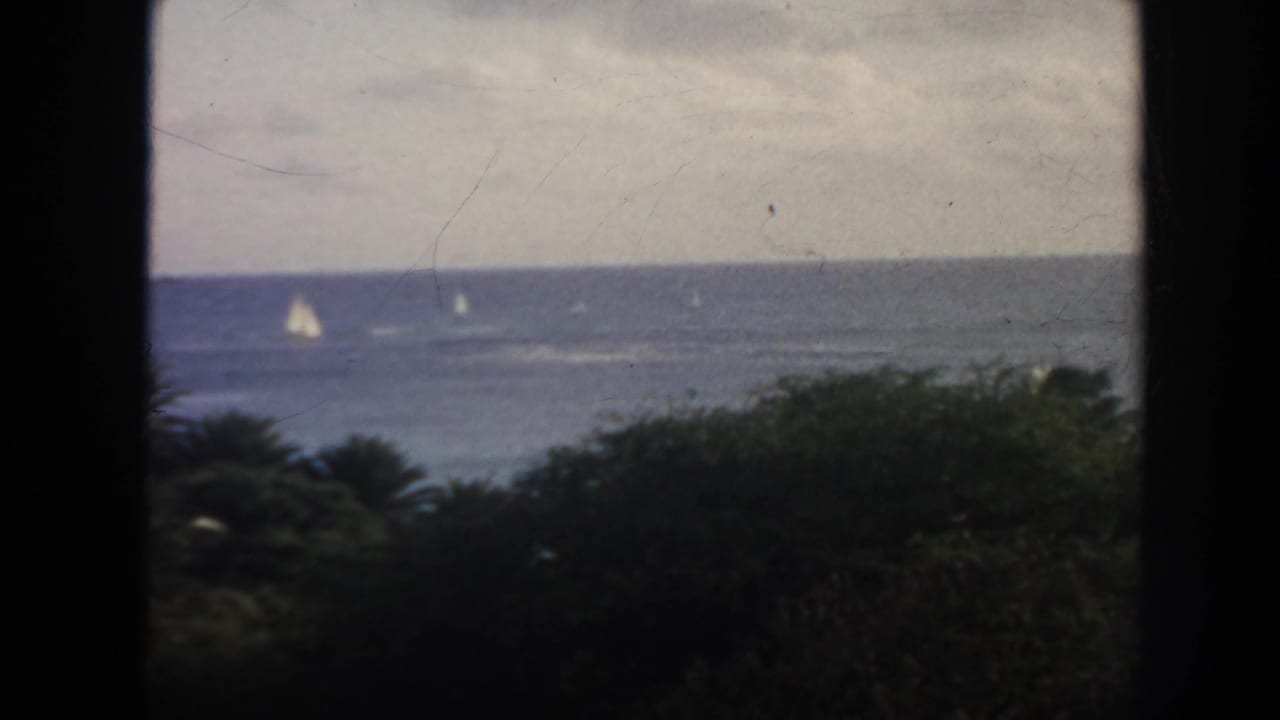 Ocean horizon with small sailboats beyond dark foreground vegetation.