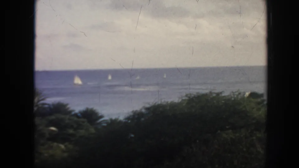 1961 Hawaii 8mm view of the ocean with several distant sailboats and tropical vegetation in the foreground.
